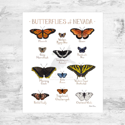 Nevada Butterflies Field Guide Art Print Mini (8x10)