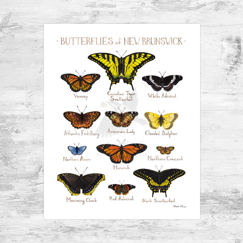 New Brunswick Butterflies Field Guide Art Print Mini (8x10)