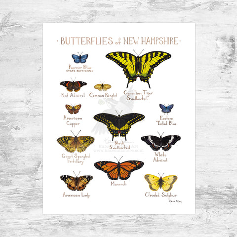 New Hampshire Butterflies Field Guide Art Print Mini (8x10)