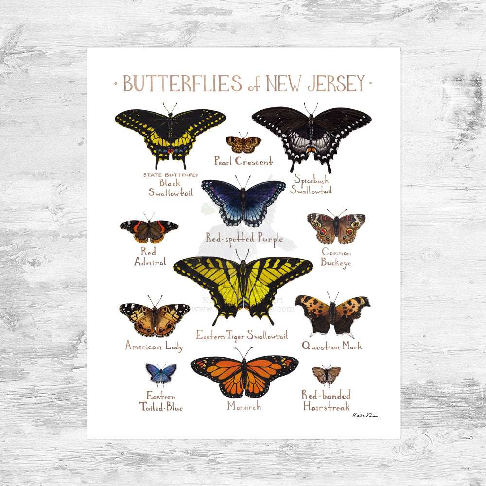 New Jersey Butterflies Field Guide Art Print Mini (8x10)