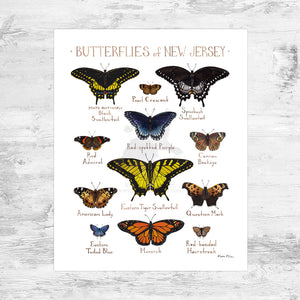 New Jersey Butterflies Field Guide Art Print Mini (8x10)