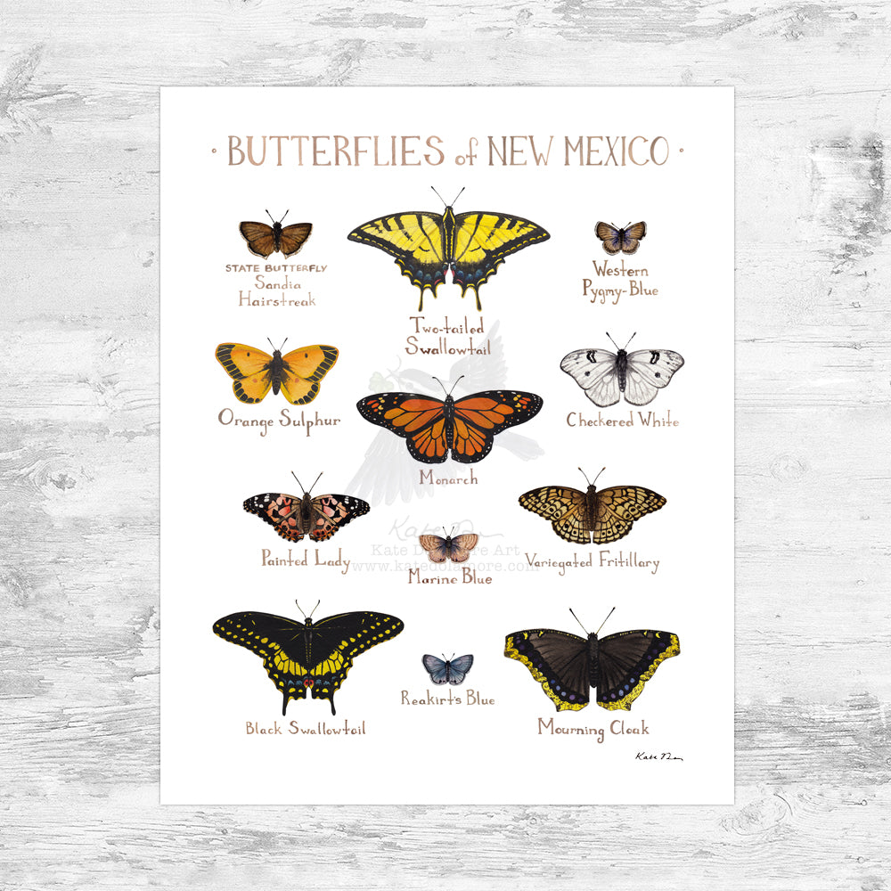 New Mexico Butterflies Field Guide Art Print Mini (8x10)