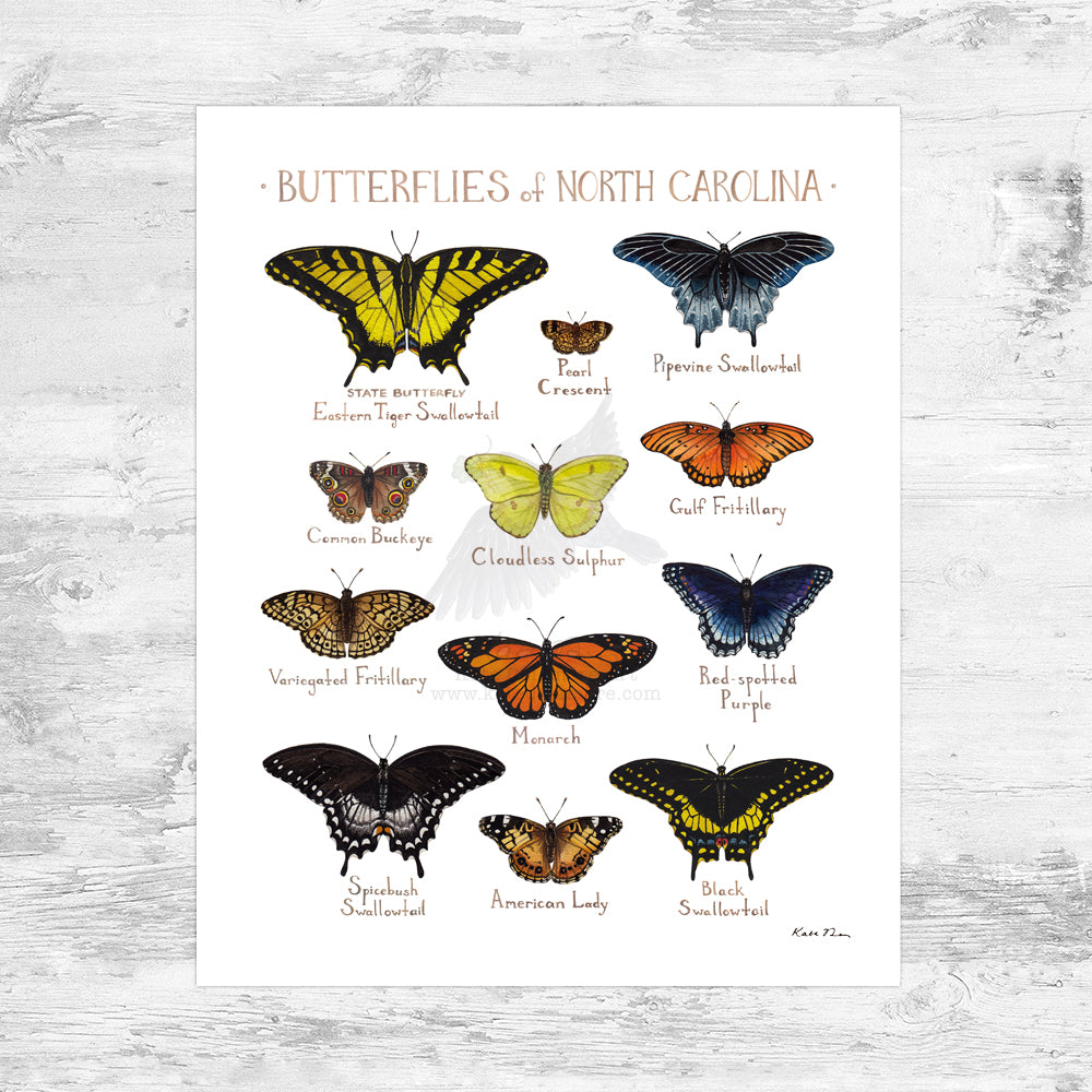 North Carolina Butterflies Field Guide Art Print Mini (8x10)