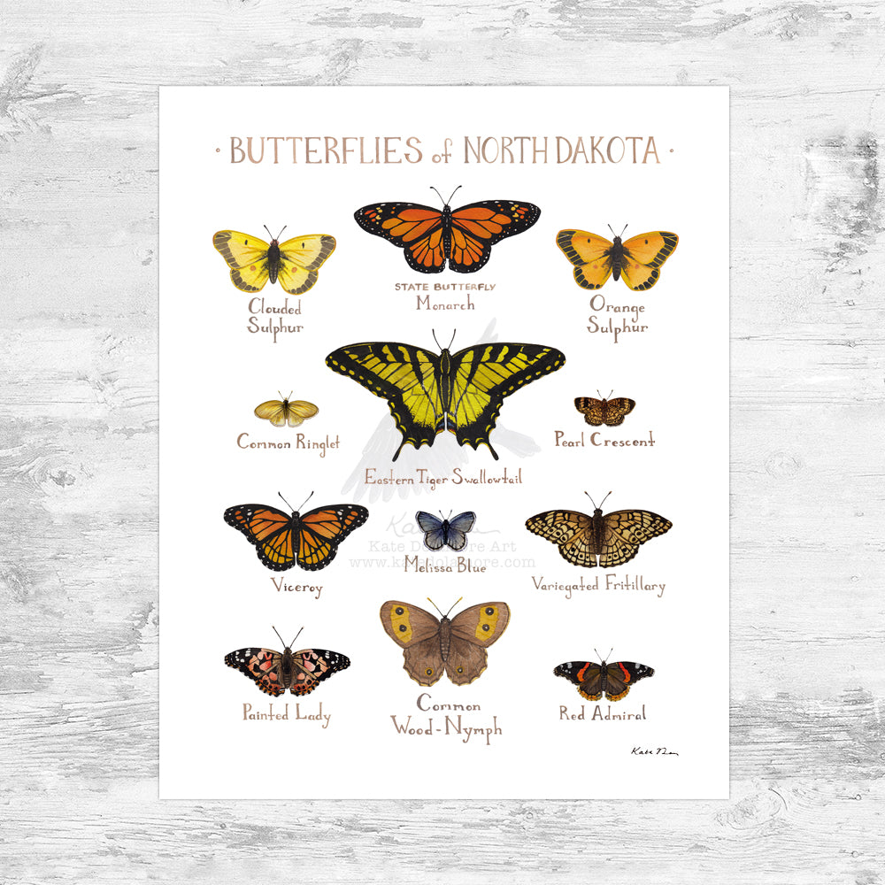 North Dakota Butterflies Field Guide Art Print Mini (8x10)