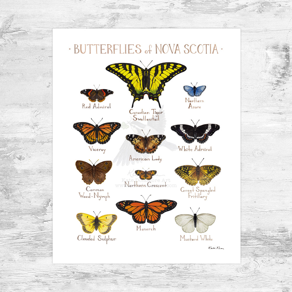 Nova Scotia Butterflies Field Guide Art Print Mini (8x10)