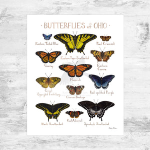 Ohio Butterflies Field Guide Art Print Mini (8x10)