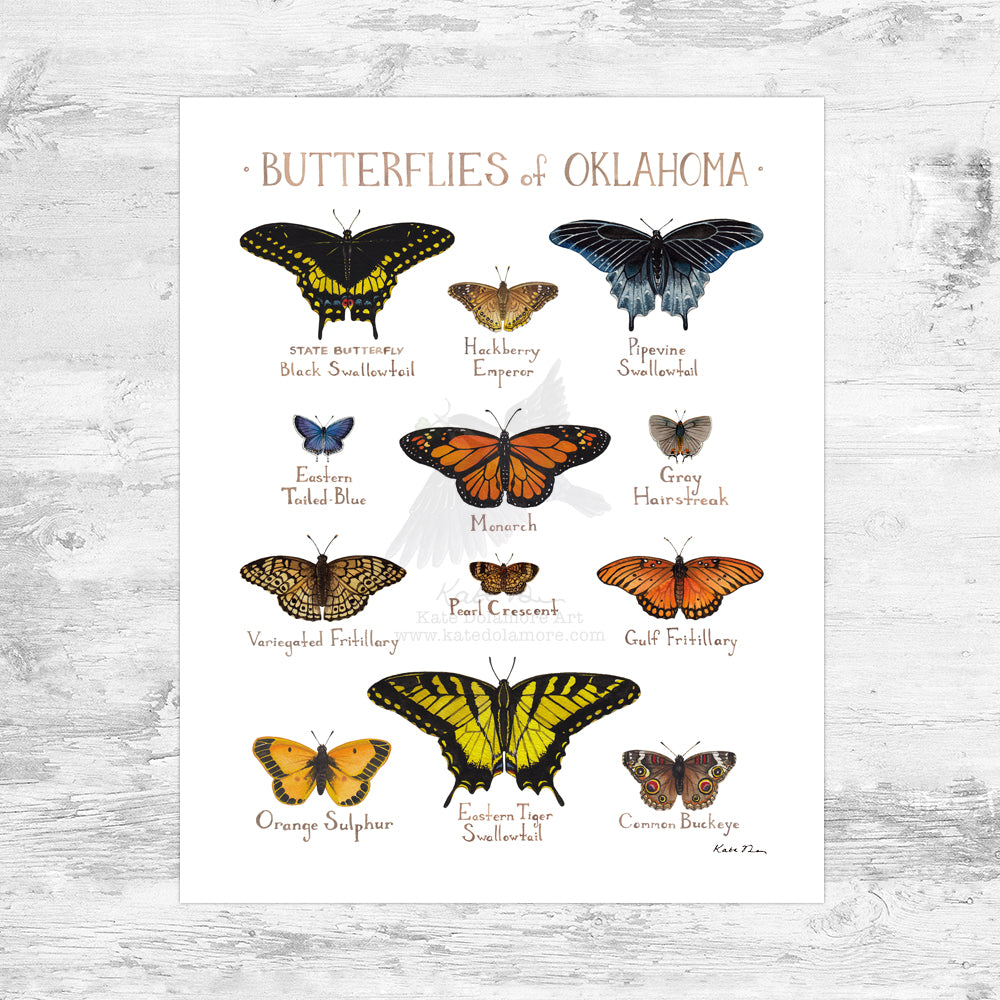 Oklahoma Butterflies Field Guide Art Print Mini (8x10)