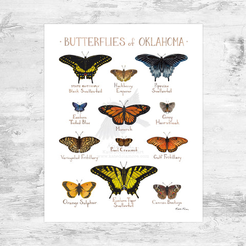 Oklahoma Butterflies Field Guide Art Print Mini (8x10)