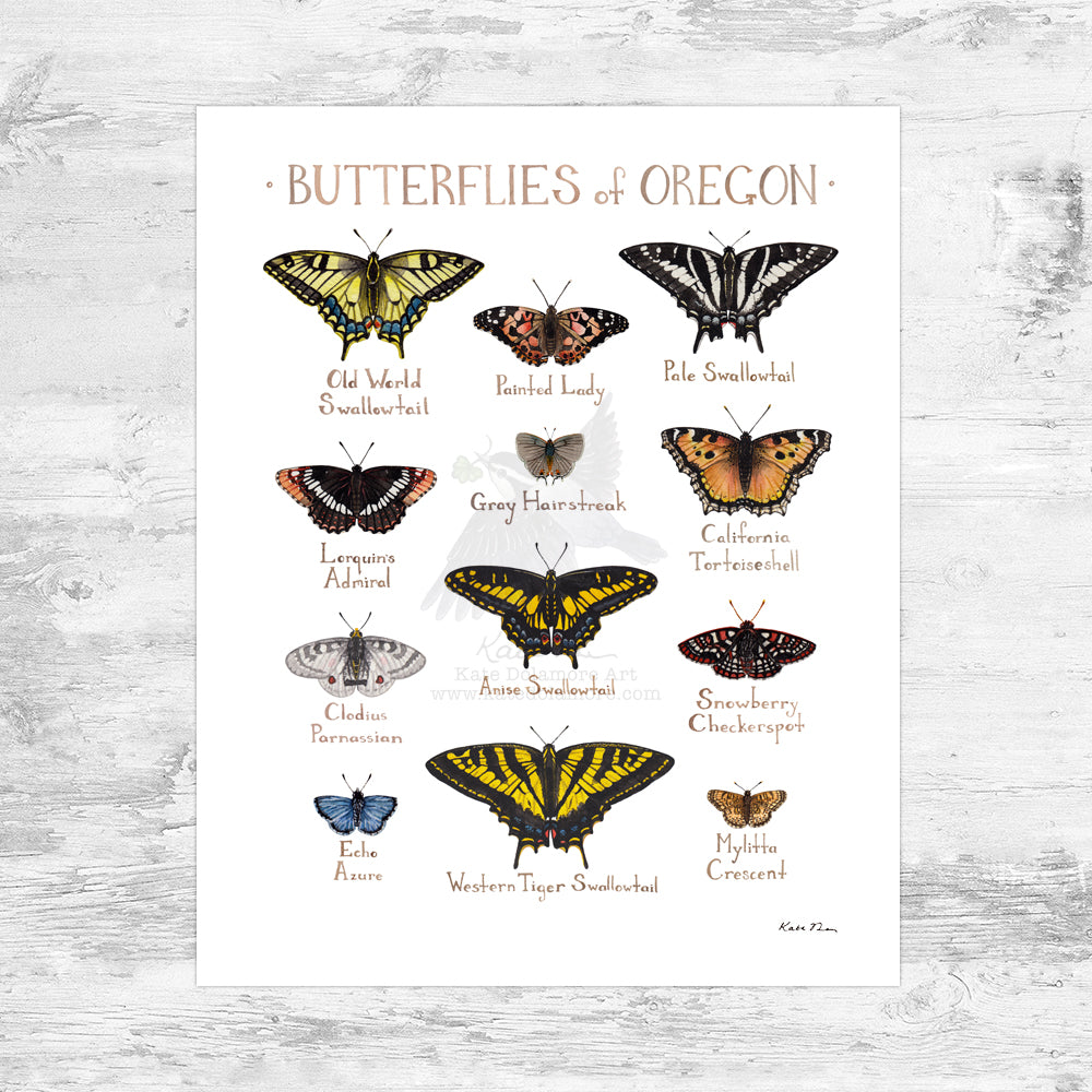 Oregon Butterflies Field Guide Art Print Mini (8x10)