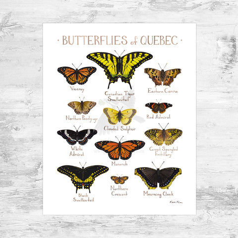 Quebec Butterflies Field Guide Art Print Mini (8x10)