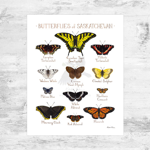 Saskatchewan Butterflies Field Guide Art Print Mini (8x10)