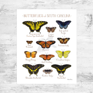 South Carolina Butterflies Field Guide Art Print Mini (8x10)