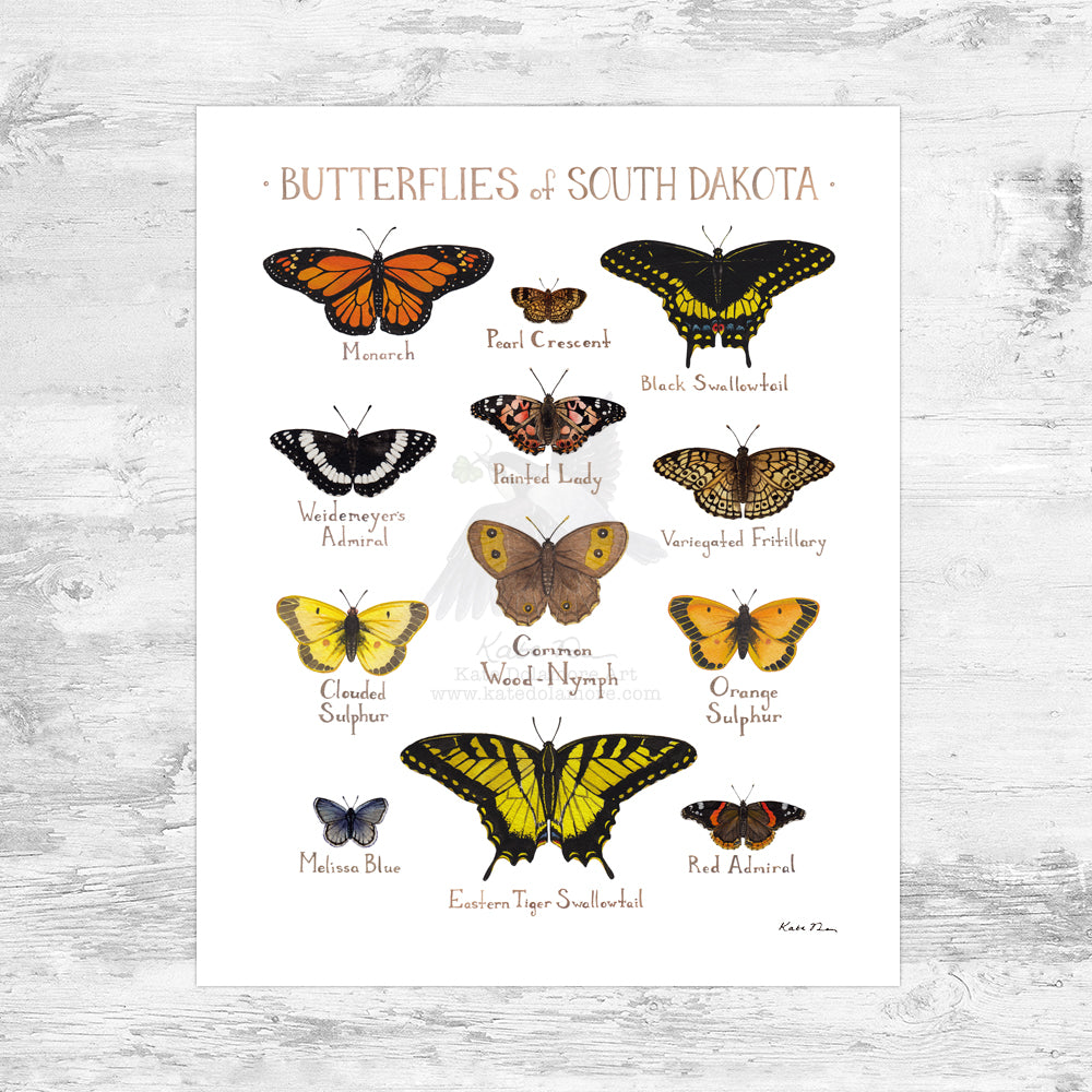 South Dakota Butterflies Field Guide Art Print Mini (8x10)