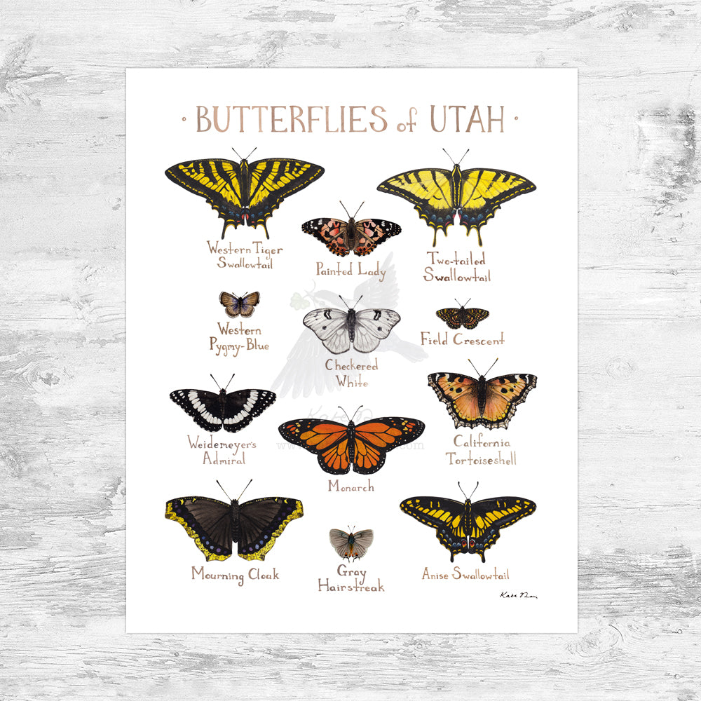 Utah Butterflies Field Guide Art Print Mini (8x10)