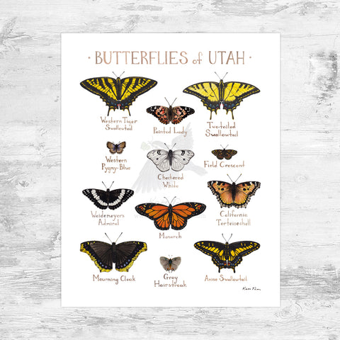 Utah Butterflies Field Guide Art Print Mini (8x10)