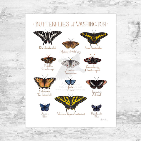 Washington Butterflies Field Guide Art Print Mini (8x10)