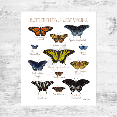 West Virginia Butterflies Field Guide Art Print Mini (8x10)