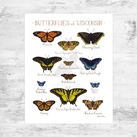 Wisconsin Butterflies Field Guide Art Print Mini (8x10)