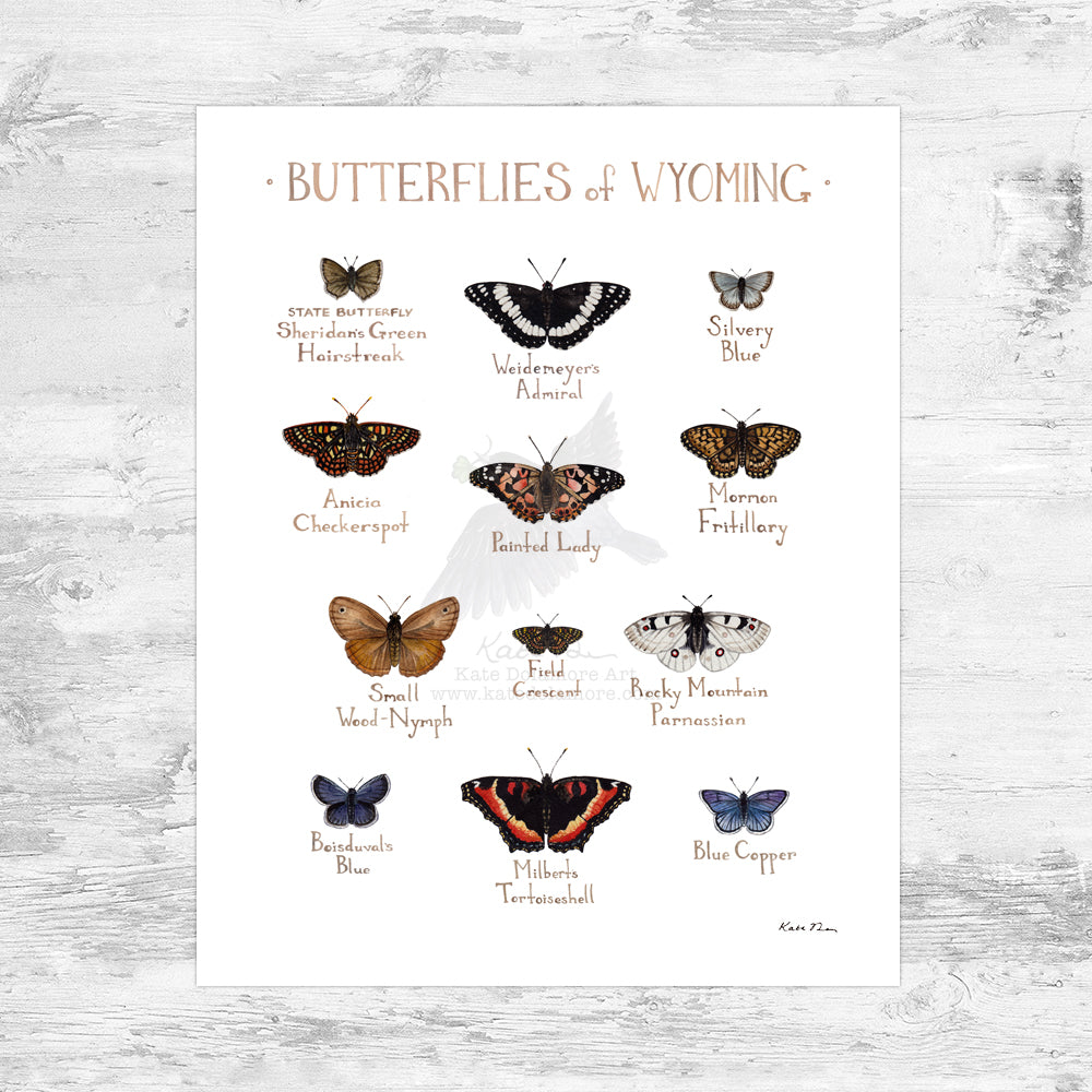 Wyoming Butterflies Field Guide Art Print Mini (8x10)