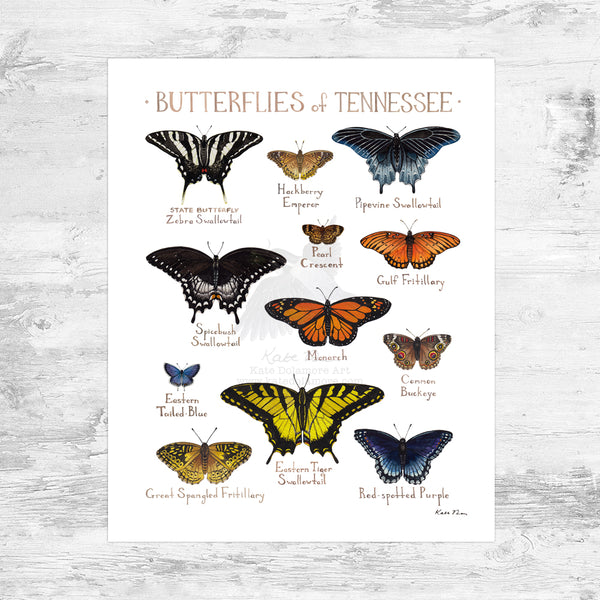 Rhode Island Butterflies Field Guide Art Print Mini (8x10)