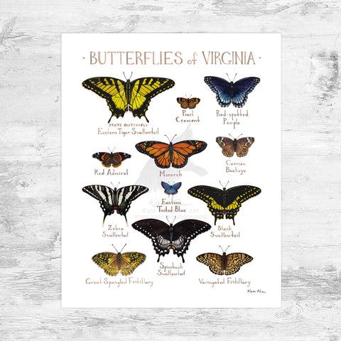 Virginia Butterflies Field Guide Art Print Mini (8x10)