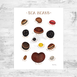 Sea Beans Art Print