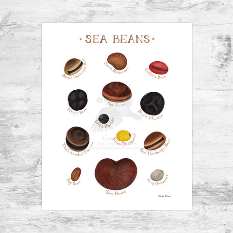 Sea Beans Art Print