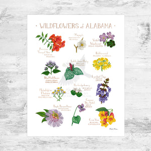 Alabama Wildflowers Field Guide Art Print Mini (8x10)