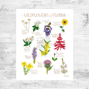 Florida Wildflowers Field Guide Art Print Mini (8x10)