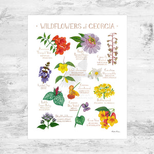 Georgia Wildflowers Field Guide Art Print Mini (8x10)