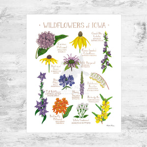 Iowa Wildflowers Field Guide Art Print Mini (8x10)