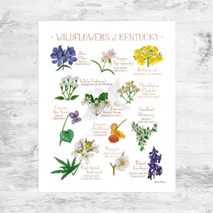 Kentucky Wildflowers Field Guide Art Print Mini (8x10)