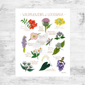 Louisiana Wildflowers Field Guide Art Print Mini (8x10)