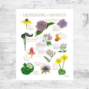 Minnesota Wildflowers Field Guide Art Print Mini (8x10)