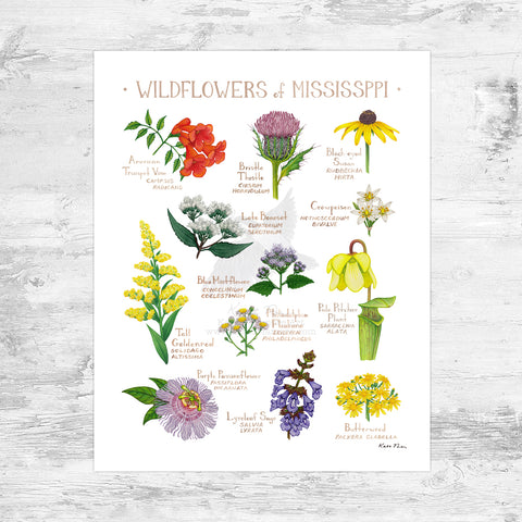 Mississippi Wildflowers Field Guide Art Print Mini (8x10)