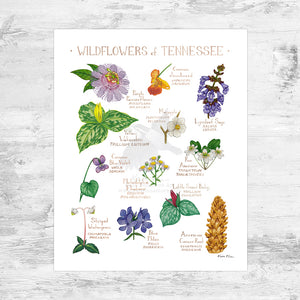 Tennessee Wildflowers Field Guide Art Print Mini (8x10)