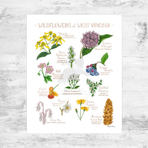 West Virginia Wildflowers Field Guide Art Print Mini (8x10)