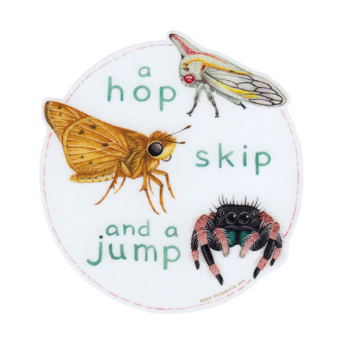 Insects