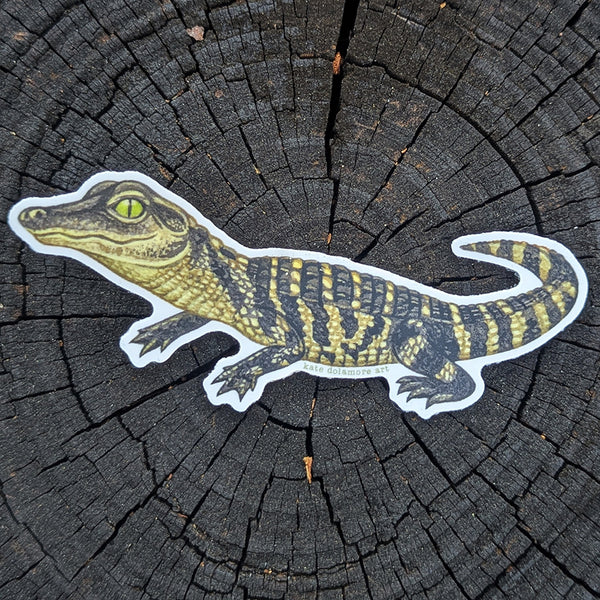 Alligator Baby Vinyl Sticker