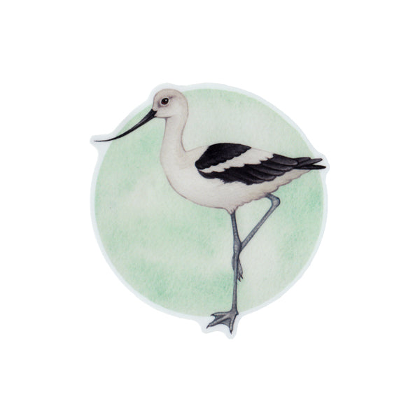 American Avocet Vinyl Sticker