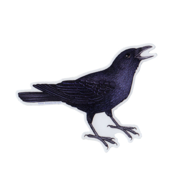American Crow Cawing Vinyl Sticker