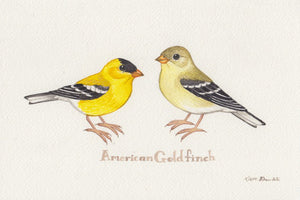 American Goldfinch 9x6 Original Watercolor Painting