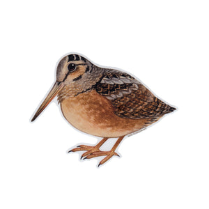 American Woodcock Vinyl Sticker
