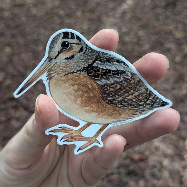 American Woodcock Vinyl Sticker