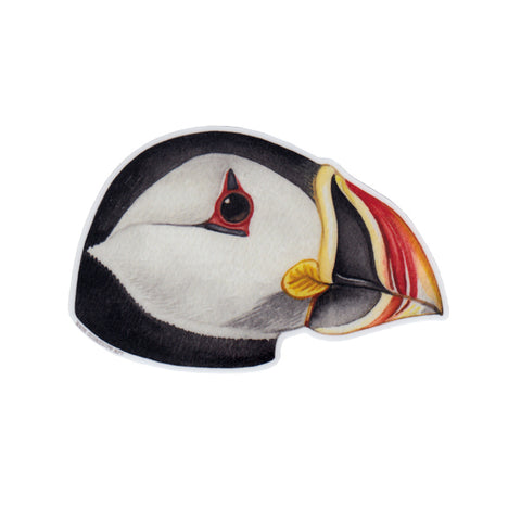 Atlantic Puffin Portrait Vinyl Sticker