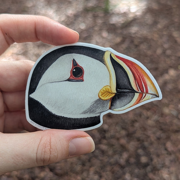 Atlantic Puffin Portrait Vinyl Sticker