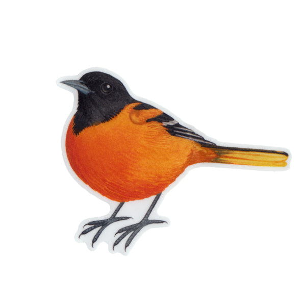 Baltimore Oriole (Male) Vinyl Sticker