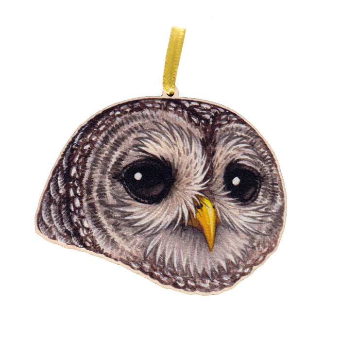 Barred Owl Owl Ornament