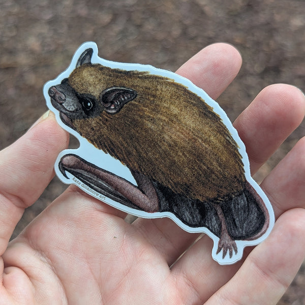 Big Brown Bat Vinyl Sticker