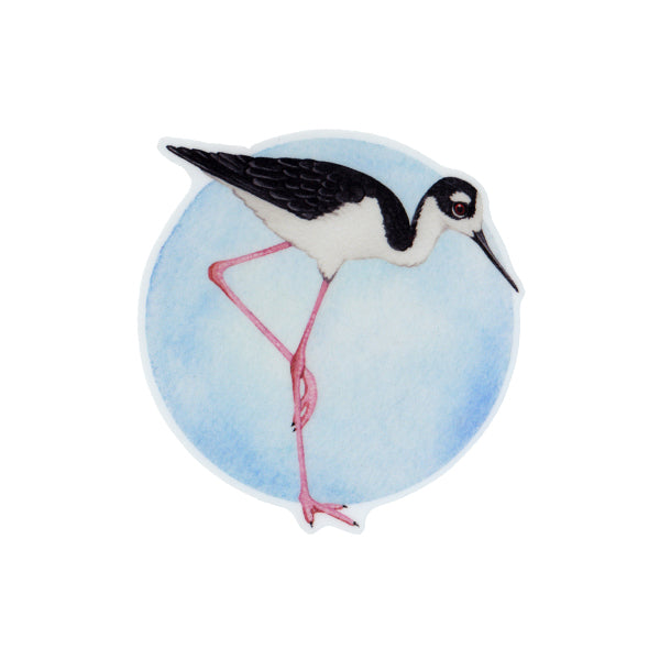 Black-necked Stilt Vinyl Sticker